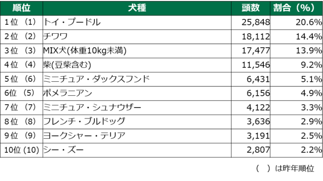 アニコム損害保険の保険についてのリリース／最新版！『人気犬種ランキング2022』