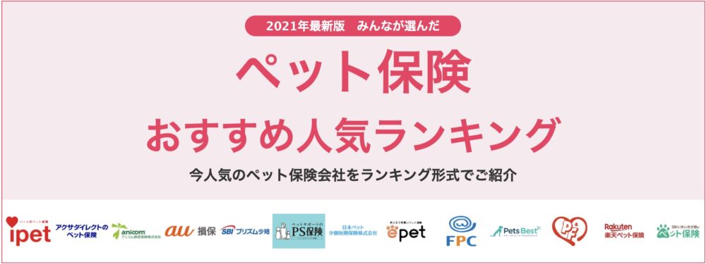 エレメントの保険についてのリリース／【ペット保険 おすすめ人気ランキング】2022年2月最新版を発表！