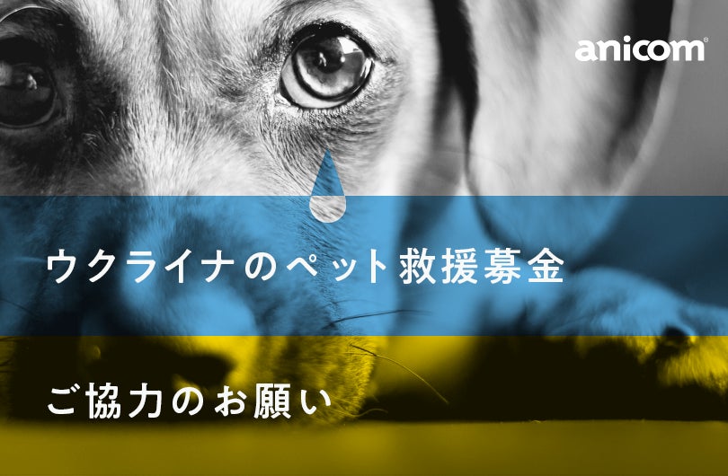 アニコム ホールディングスの保険についてのリリース／『ウクライナのペット救援募金』プロジェクトを実施いたします