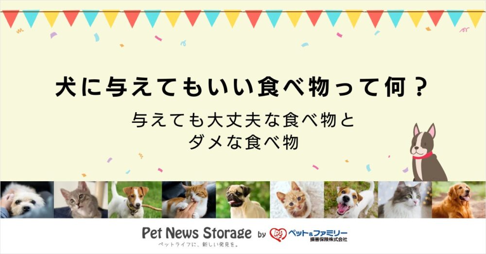 ペット＆ファミリー損保の保険についてのリリース／犬に与えてもいい食べ物って何？大丈夫な食べ物とダメな食べ物13種類