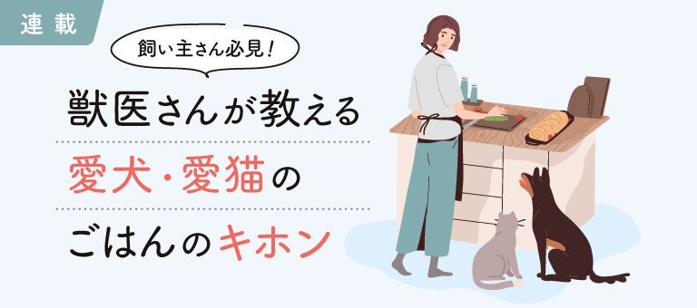 ペット＆ファミリー損保の保険についてのリリース／飼い主さんが知らない犬猫の食事の正しい知識を教える「【連載】獣医さんが教える愛犬・愛猫のごはんのキホン」連載ページをリリース