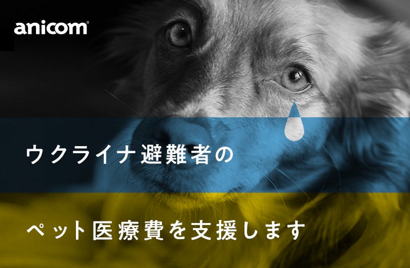 アニコム ホールディングスの保険についてのリリース／ウクライナ避難者のペットにかかる医療費を、アニコムが全額支援いたします