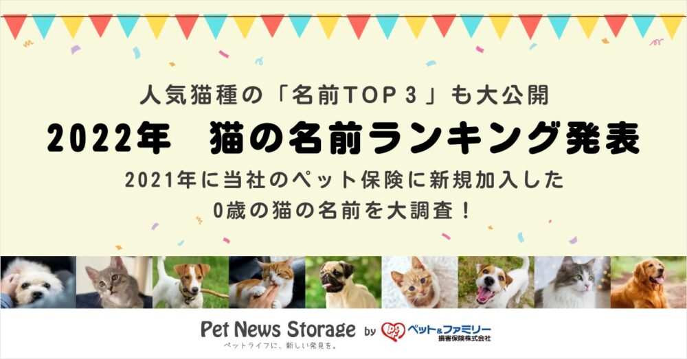 ペット＆ファミリー損保の保険についてのリリース／ペットニュースストレージ「2022年 猫の名前ランキング」を発表。2021年にペット保険に新規加入した0歳の猫の名前を大調査！